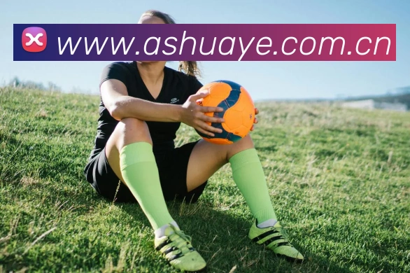 半岛网页版官网APP 体育赛事宣传图